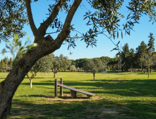 ESPACE NATURE : PARC DE LA BRULADE