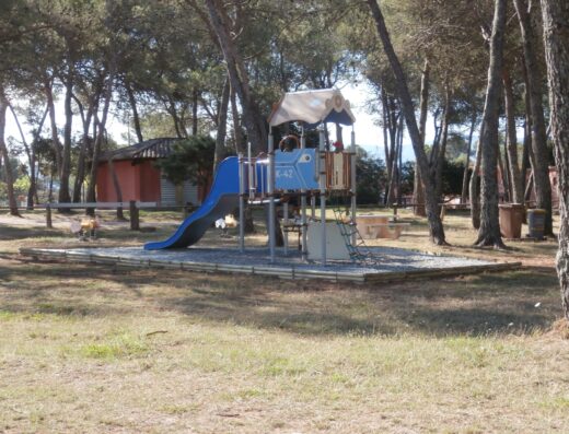 Aire de jeux extérieure pour enfants avec toboggan bleu et structure en bois dans un parc ombragé de pins.