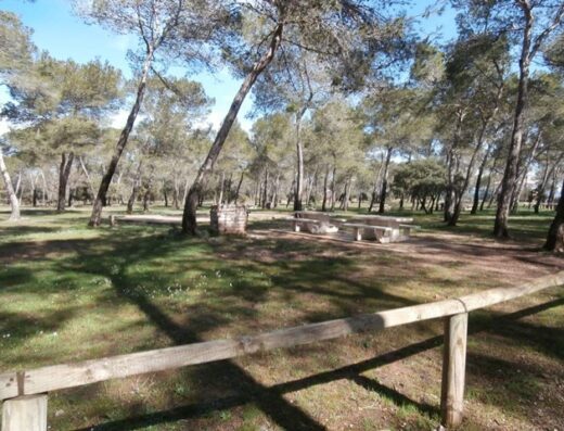Aire de pique-nique avec tables en pierre et barbecue en briques dans une pinède ombragée sous un ciel bleu.