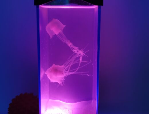 Lampe méduse LED aquarium d'ambiance lumière néon rose et bleu.