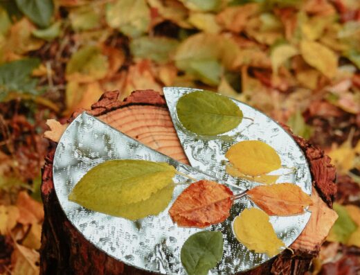 Miroir brisé sur une souche d'arbre avec des feuilles d'automne vertes et jaunes, fond de feuillage roux
